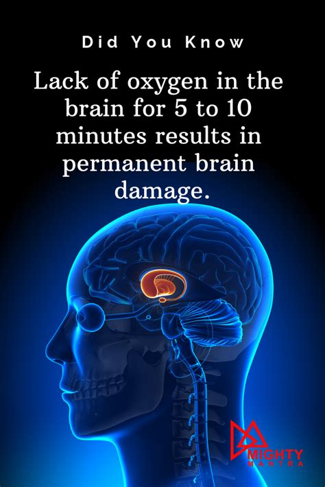 1 Lack Of Oxygen In The Brain For 5 To 10 Minutes Results In Permanent