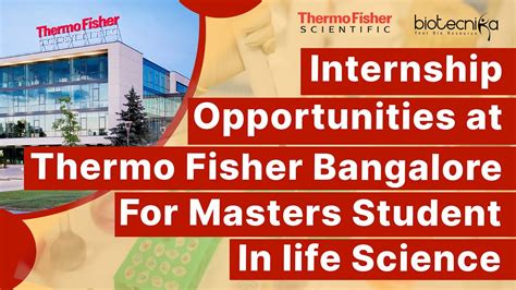 10 Powerful Reasons To Accept The Thermofisher Internship Now