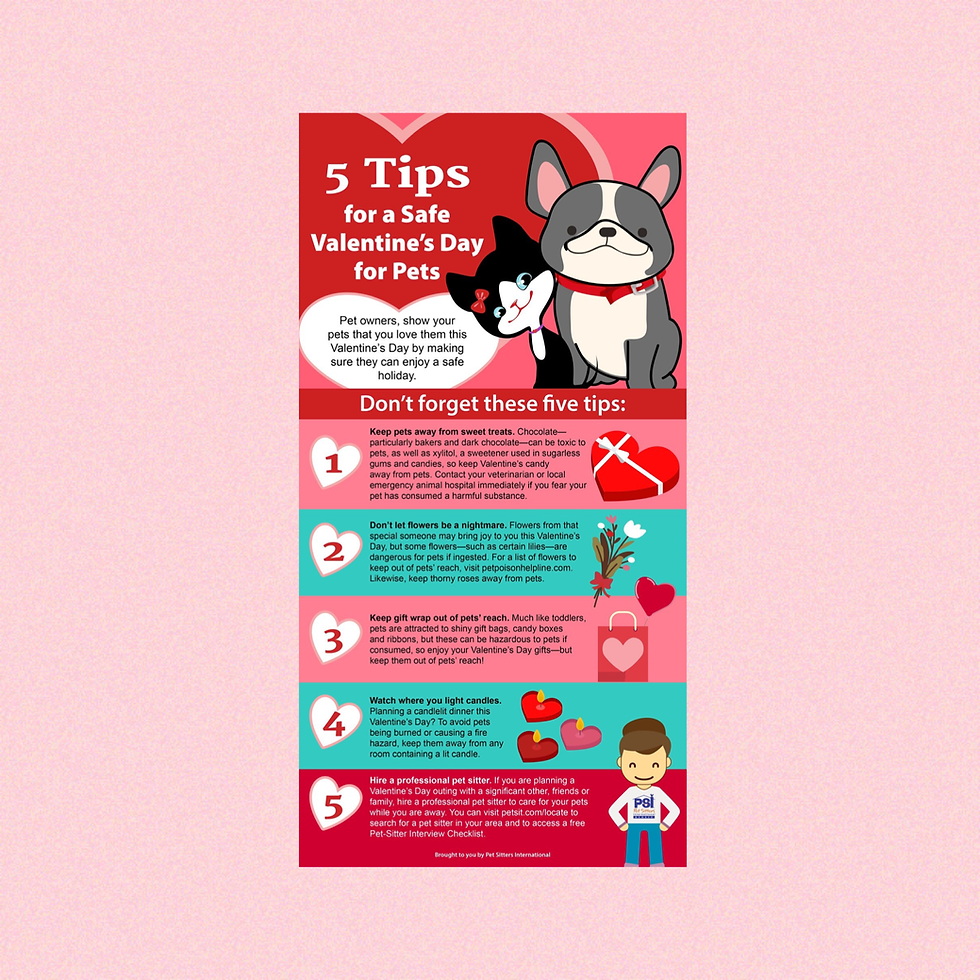 10 Valentine S Day Safety Tips Scatterling