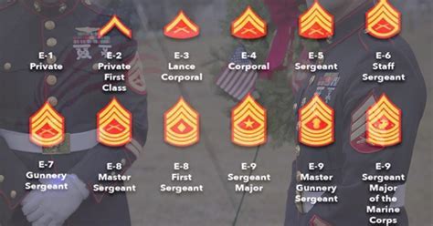 10 Ways To Make Your Marine Ranks Perfect