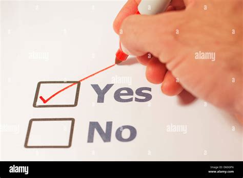 109 Yes Or No Checklist Stock Photos High Res Pictures And Images