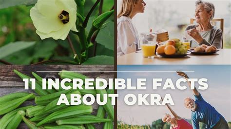 11 Incredible Okra Nutrition Facts Youtube