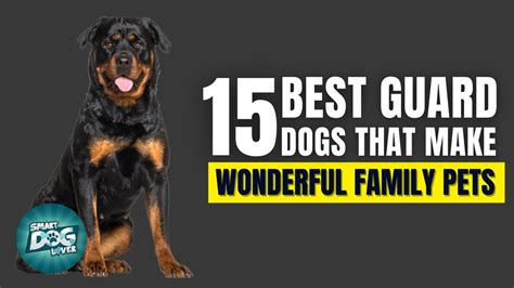 15 Best Guard Dogs That Also Make Wonderful Family Pets Youtube