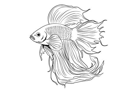 15+ Fish Coloring Pages: Ultimate Creative Escape