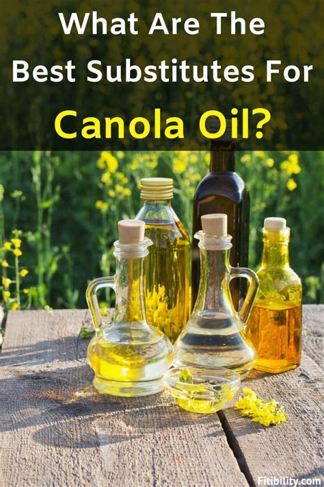 2. 5 Perfect Tips To Make Your Own Canola Oil Substitute Now