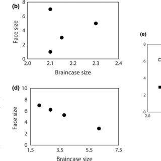 2. 7 Pro Tips To Understand The Perfect Braincase Size