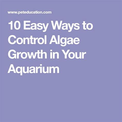 2. The Perfect Guide: 7 Ways To Grow Your Pet Algae Today