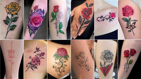 25 Beautiful And Amazing Rose Tattoo Ideas For Men And Women 2023