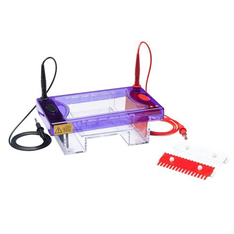 3. 12 Electrophoresis Gel Kits: Complete Buying Tutorial