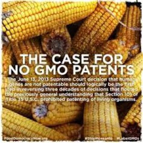 3. Expert's Guide: 7 Steps To Make A Gmo Patent Drawing