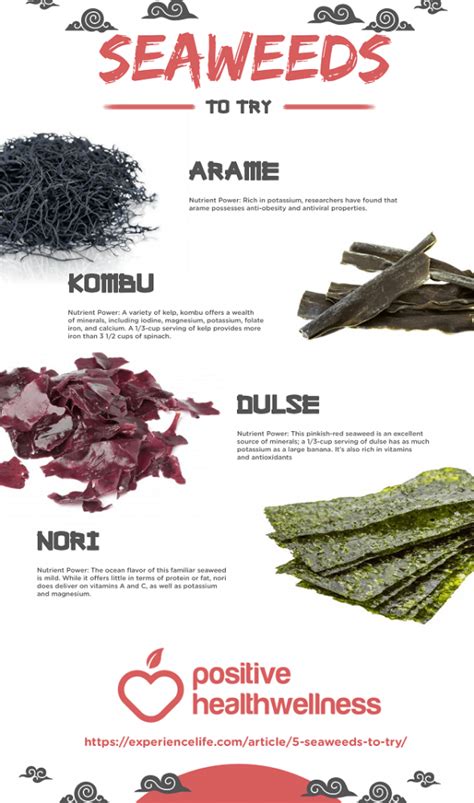 5 Seaweeds To Try Infographic