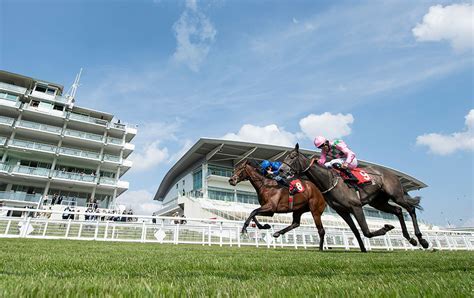 6 Ways To Create An Ultimate Epsom Racing Experience Today Hebrew Jpost