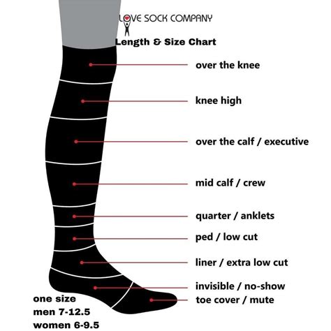 7 Types Of Socks Sock Lengths And Fabrics Explained Artofit