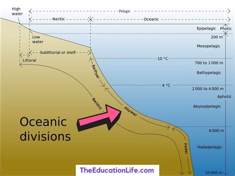 Abyssal Zone