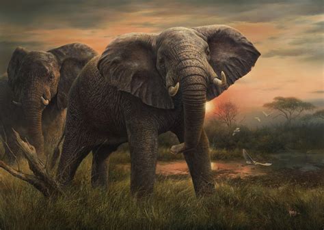 Aerial Intensity Wildlife Paintings Amp Prints For Sale By Denis Mayer Jr