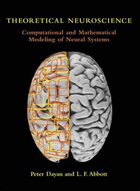 Amazon Com Theoretical Neuroscience Computational And Mathematical Modeling Of Neural Systems