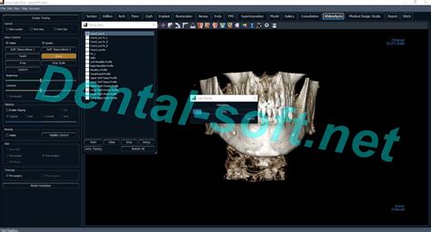 Anatomage Invivo 7 1 1 Full Crack 2023 Dental Software