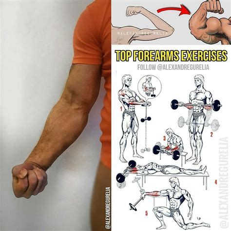 Best Workout For Forearms