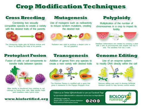 Biotechnology Genetic Engineering Civilsdaily