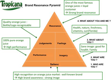 Brand Resonance Pyramid For Tropicana Brand Architecture Luxury Branding Identity Brand Strategy