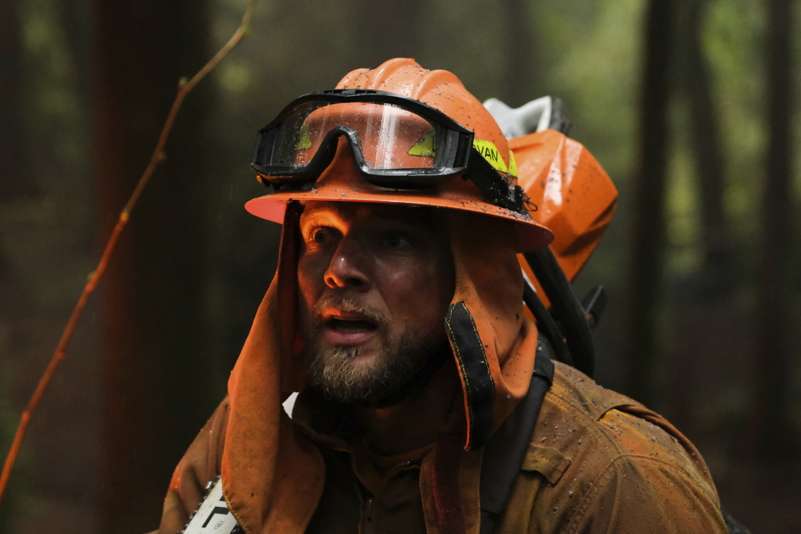 Cal Fire Support Or Not Bay Area S Max Thieriot Fuels Fire Country