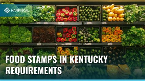 Campbell County Ky Food Stamp Office Excel Web