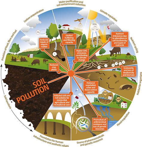 Causes Of Soil Pollution