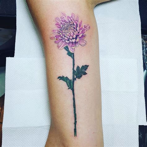 Chrysanthemum Tattoo Chrysanthemum Tattoo Tattoos Mini Tattoos