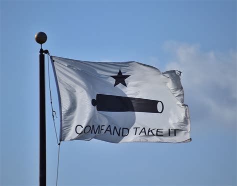 Come And Take It Flag 4 X 6 Ft 100D Polyester Battle Of Gonzales