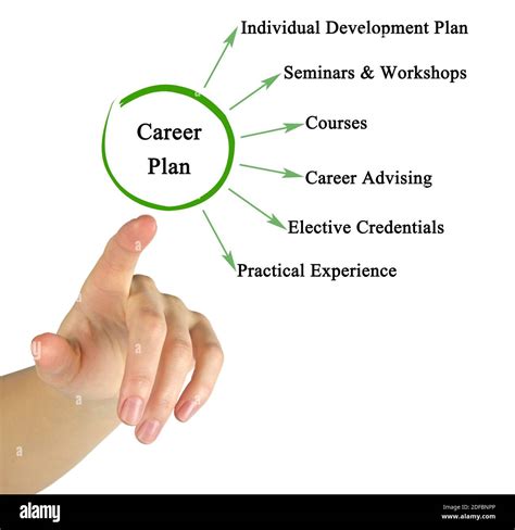 Components Of Career Planning