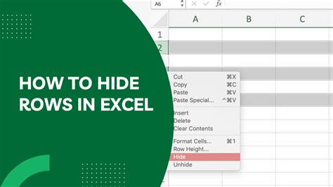 Comprehensive Guide How To Hide Rows In Excel Earn And Excel