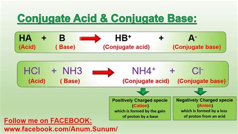 Conjugate Acids And Conjugate Bases Acids And Bases