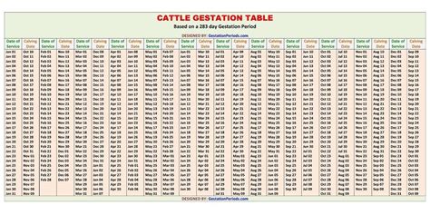 Cow Gestation Calculator World Of Printable And Chart