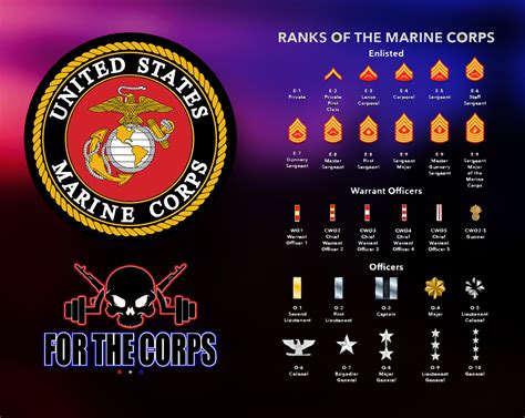 Design Perfect Marine Insignia Now