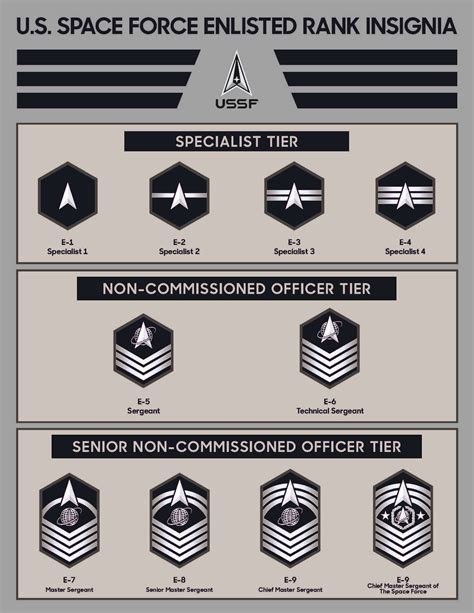 Design Ultimate Enlisted Ranks Guide Now