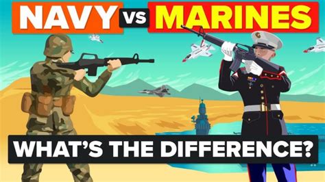 Difference Between Navy And Marine