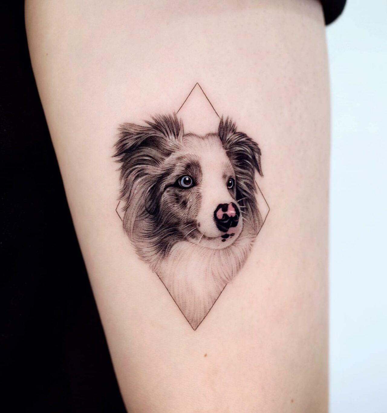 Dog Tattoo Dog Tattoos Dog Tattoo Nose Tattoo