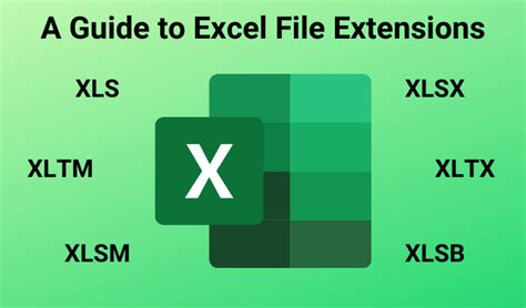 Fichier Excel Extension