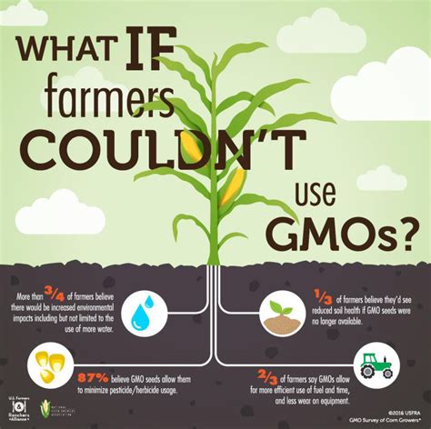 Gmo Pesticide Drawing