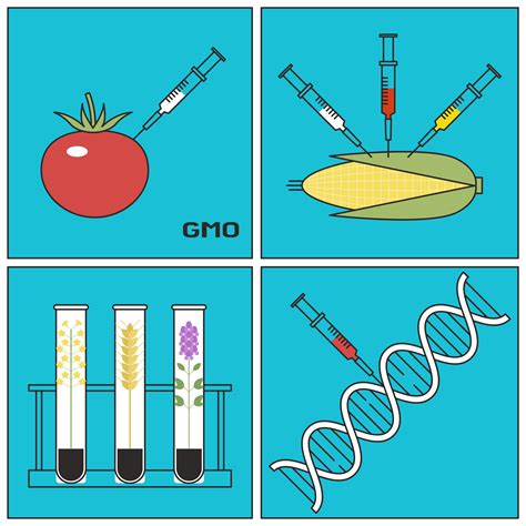 Gmo Plants Easy Drawing