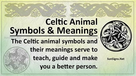 Guide To Magical Paths Celtic Animal Symbolism And Meaning Celtic