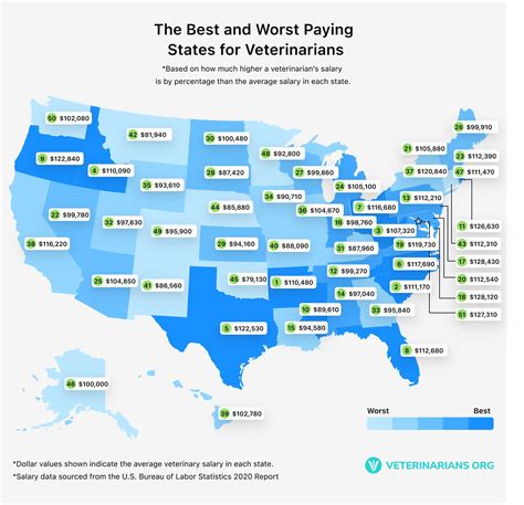 How Much Do Veterinarians Make The Highest And Lowest Paying U S