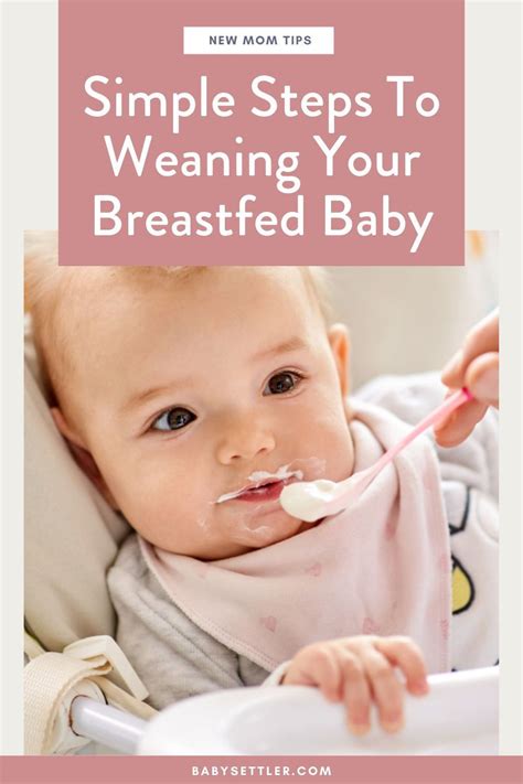 How To Safely Wean Your Baby Off Breastfeeding Artofit