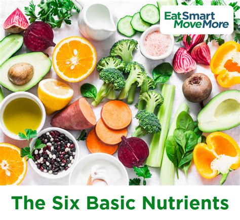 Identify The Six Essential Nutrients