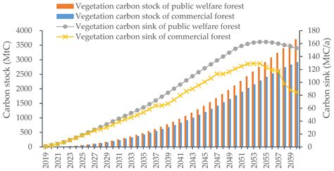 Ijerph Free Full Text Simulation Of Vegetation Carbon Sink Of Arbor Forest And Carbon