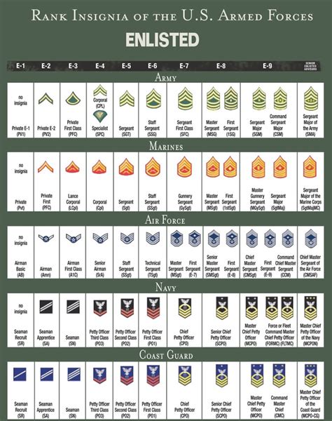 Img Military Ranks Military Insignia Army Ranks