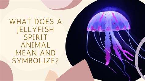 Jellyfish Spirit Animal What Does A Jellyfish Symbolize