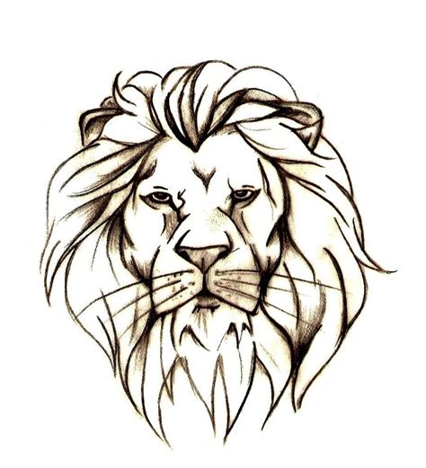 Lion Head Tattoo Drawing At Paintingvalley Com Explore Collection Of