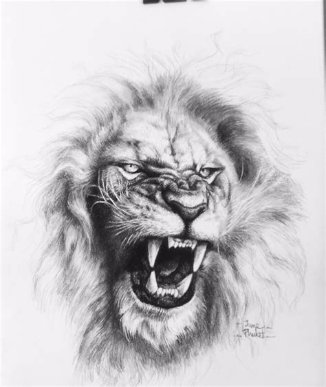 Lion Tattoo Drawing