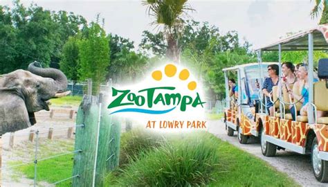 Lowry Zoo Tampa Tickets